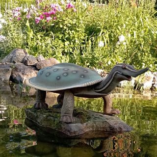 Želva se nám přestěhovala k vodě, na léto ideální místo 🤩. Krásné léto všem, třeba se potkáme na trzích 👋.